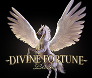 Divine Fortune Black